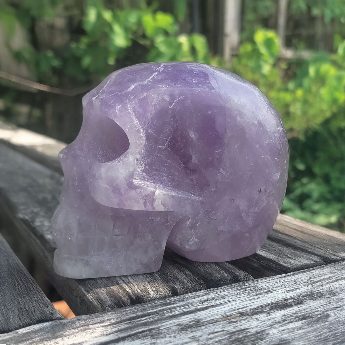 Paarse amethist schedel van 700 gram, zijaanzicht links met zachte glans en natuurlijke lijnen.