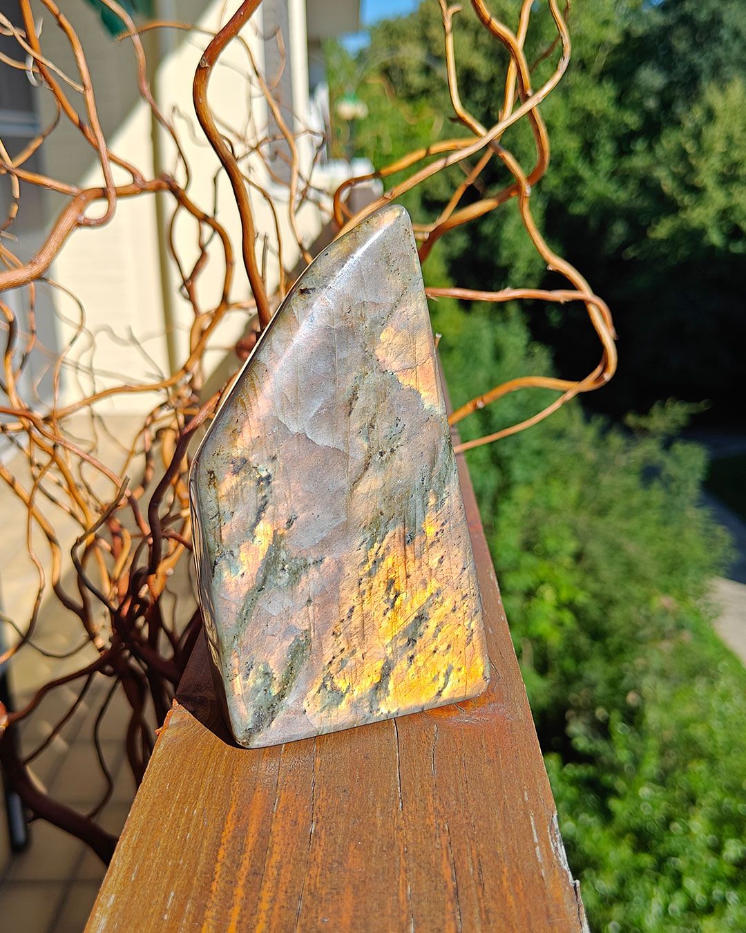 Gepolijste labradoriet freeform met geel-oranje schittering, vooraanzicht