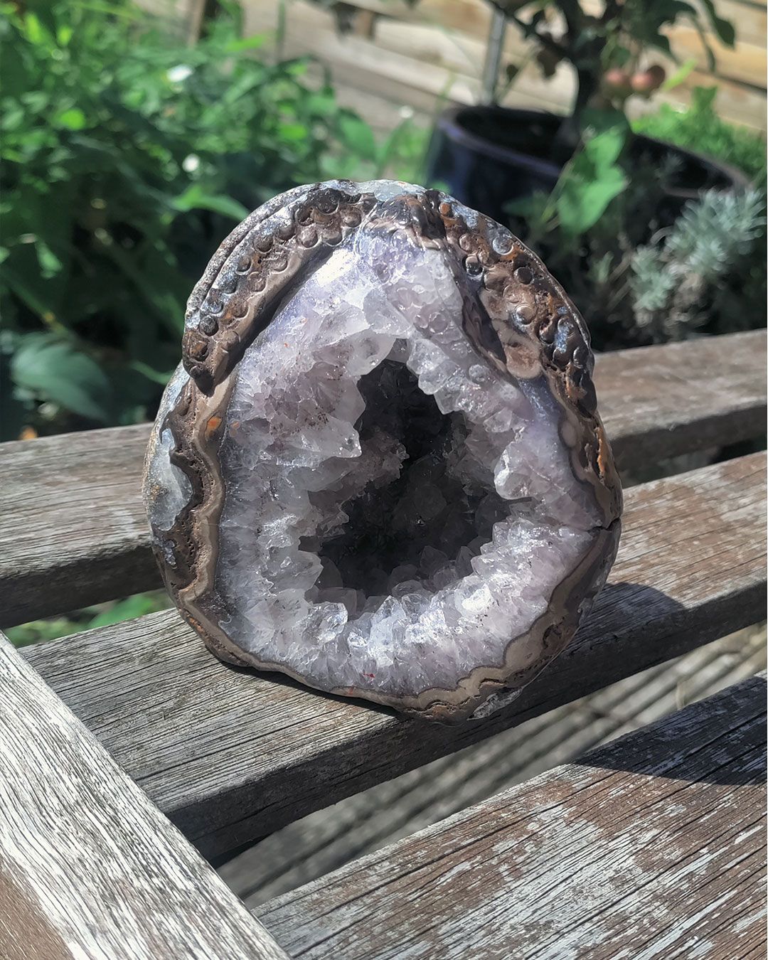 Amethist geode van 710 gram met handgesneden zeester carving – vooraanzicht