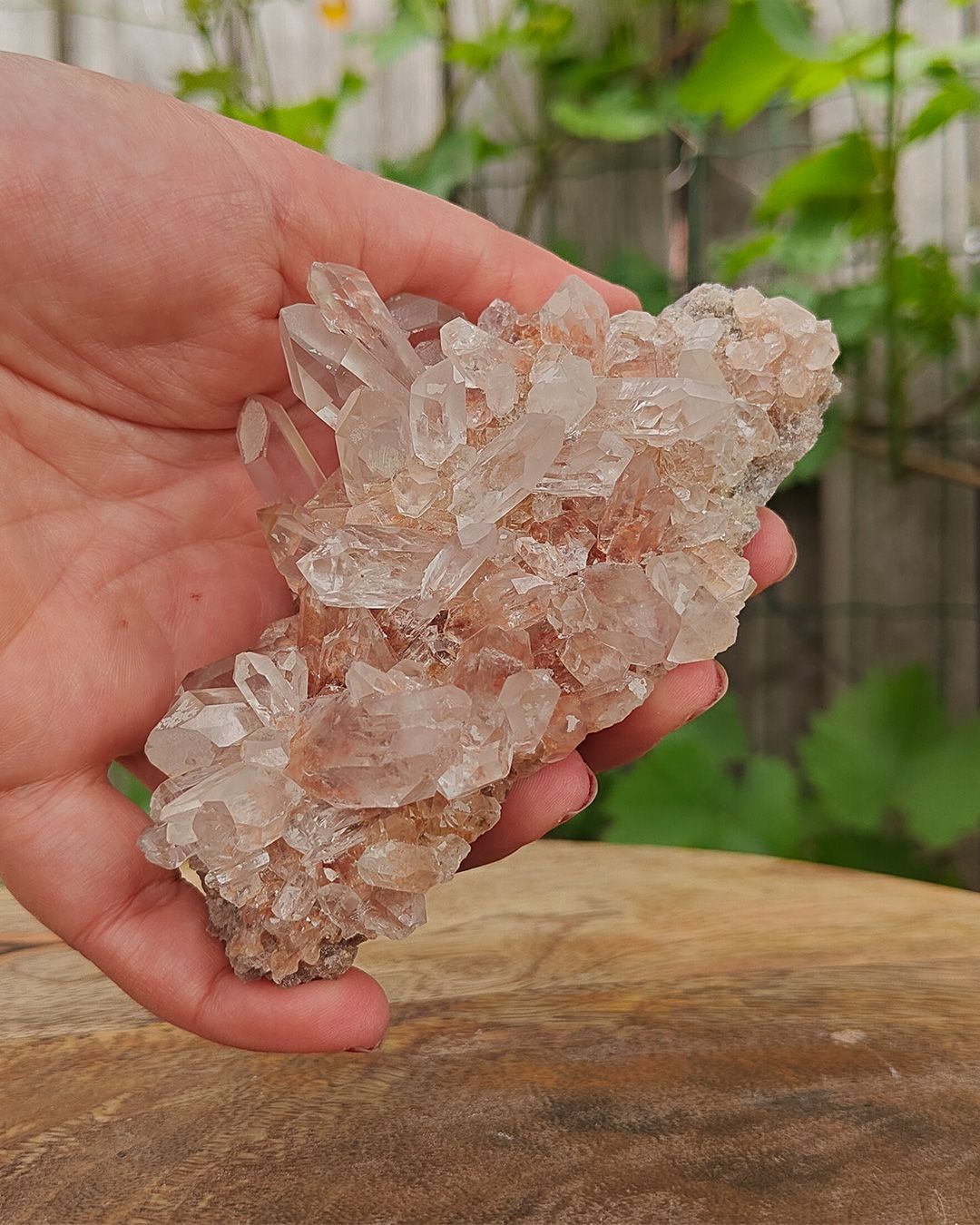 Himalaya Bergkristal Cluster | Ruw Kristal uit Nepal Himalaya bergkristal cluster uit Nepal in de hand ter indicatie van het formaat