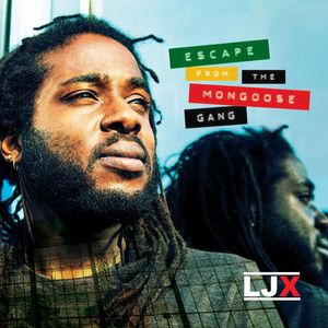 Escape From The Mongoose Gang