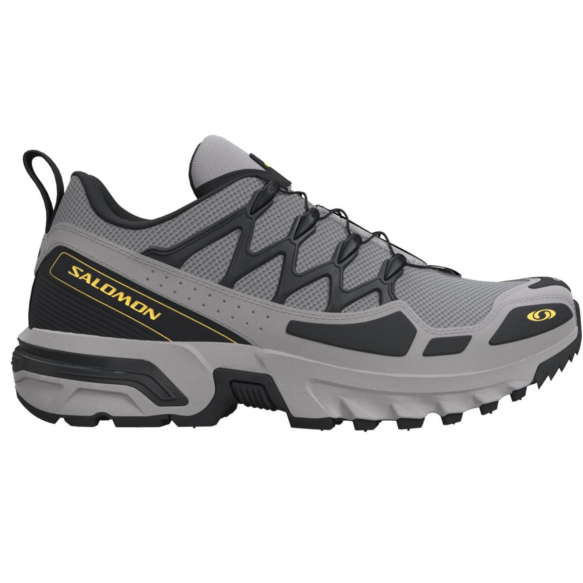 Salomon ACS + OG Alloy/Black