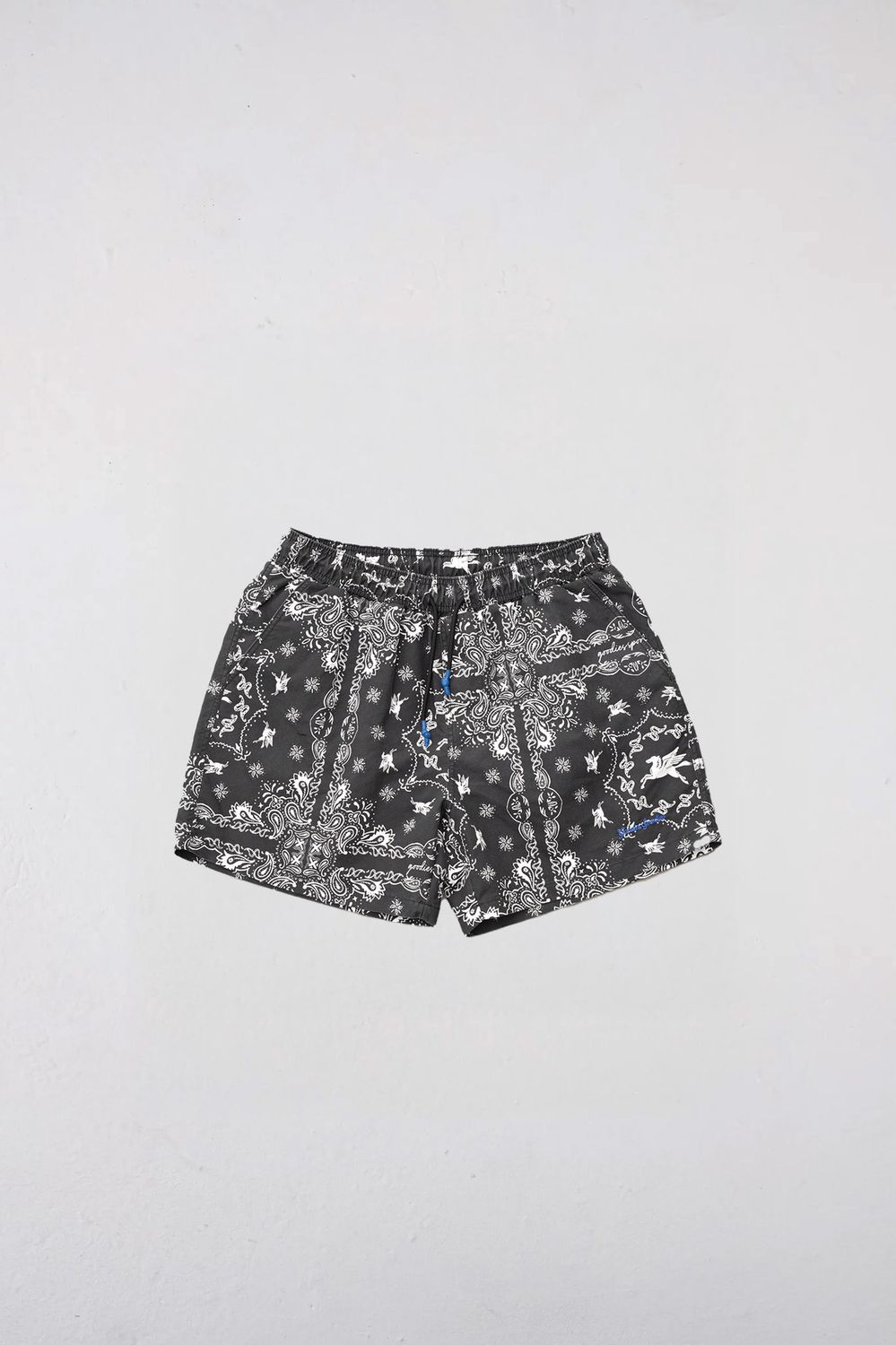 Goodies Sportive PEGASUS BANDANA SWIMS