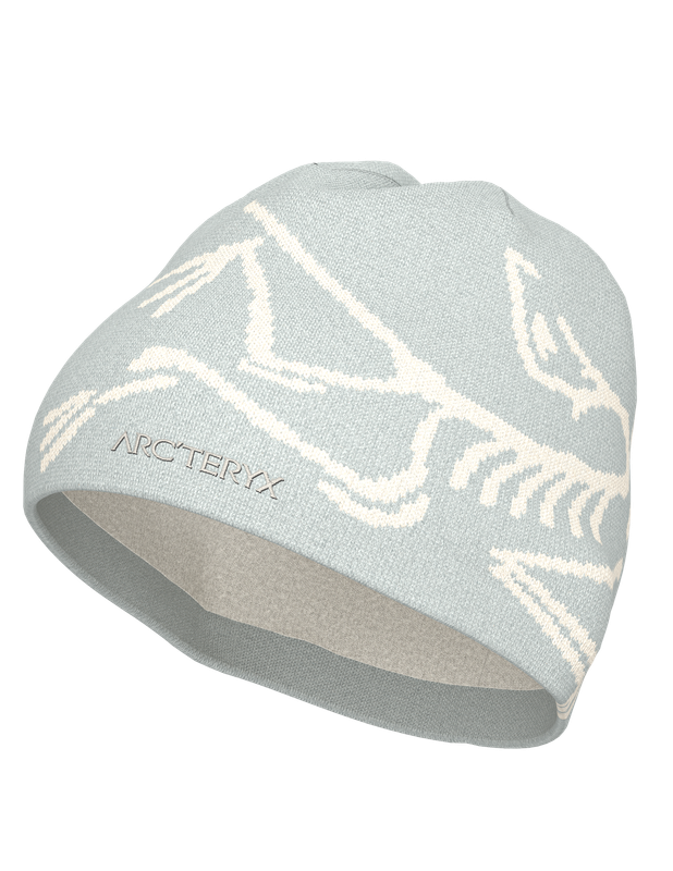Arc’teryx Bird Head Toque Solitude / Arctic Silk