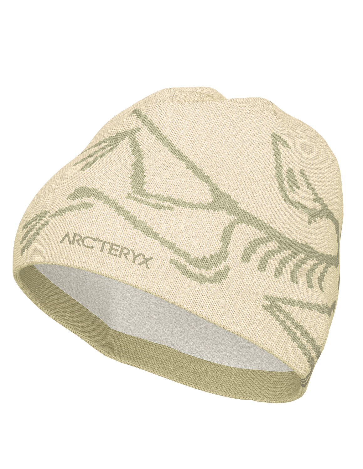 Arc'teryx  Bird Head Toque Sea Salt / Habitat