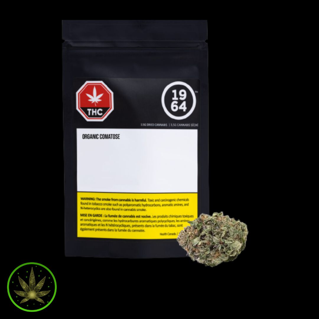 Organic Comatose, 1964 (3.5g) Dried Flower