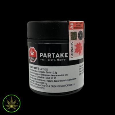 Punch Mints, Partake (3.5g)  Dried Flower