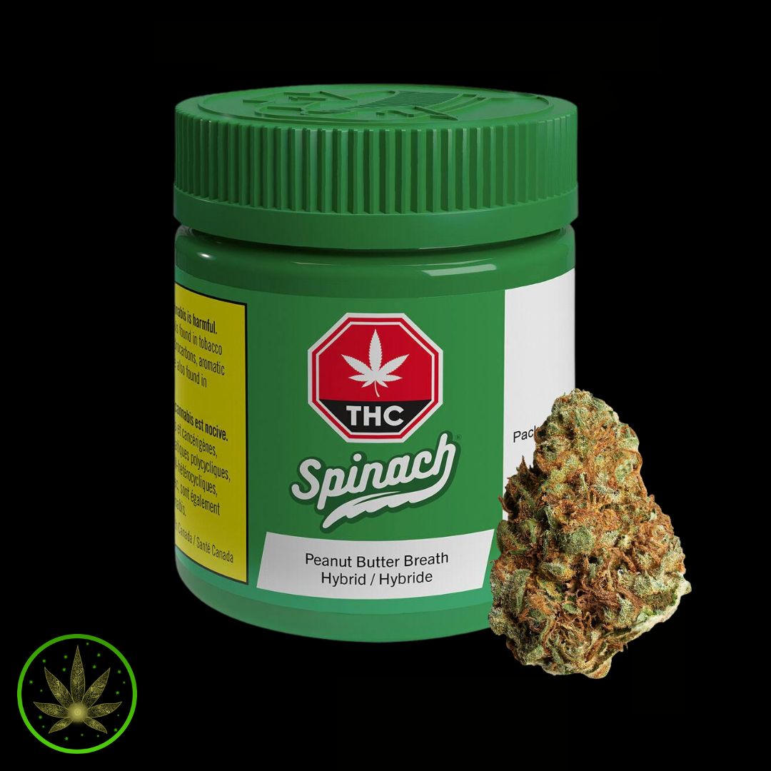 Peanut Butter Breath, Spinach (3.5g) Dried Flower