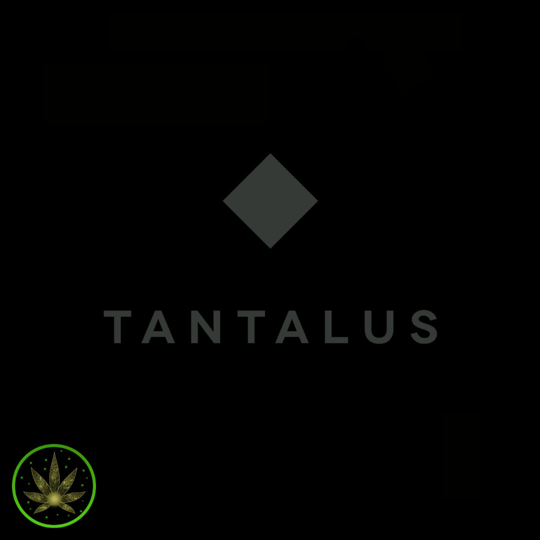 Indica (RSS), Tantalus (1g) Shatter