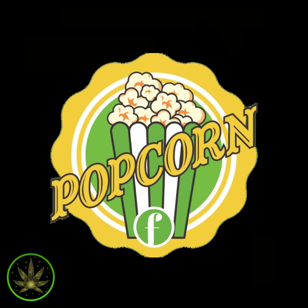 Popcorn Rotating Sativa Strain, Popcorn (7g) Dried Flower