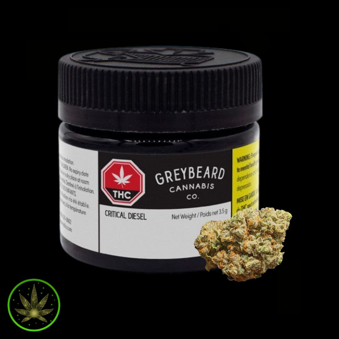 Critical Diesel, Greybeard (3.5g) Dried Flower