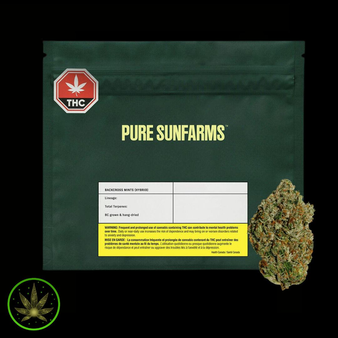 Backcross Mints, Pure Sunfarms (14g) Dried Flower