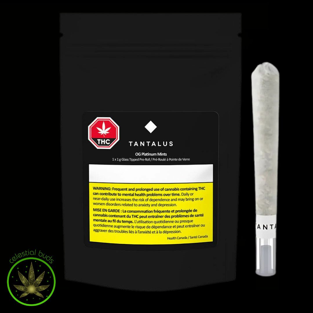 OG Platinum Mints Glass Tip, Tantalus (1x1g) Pre-Roll