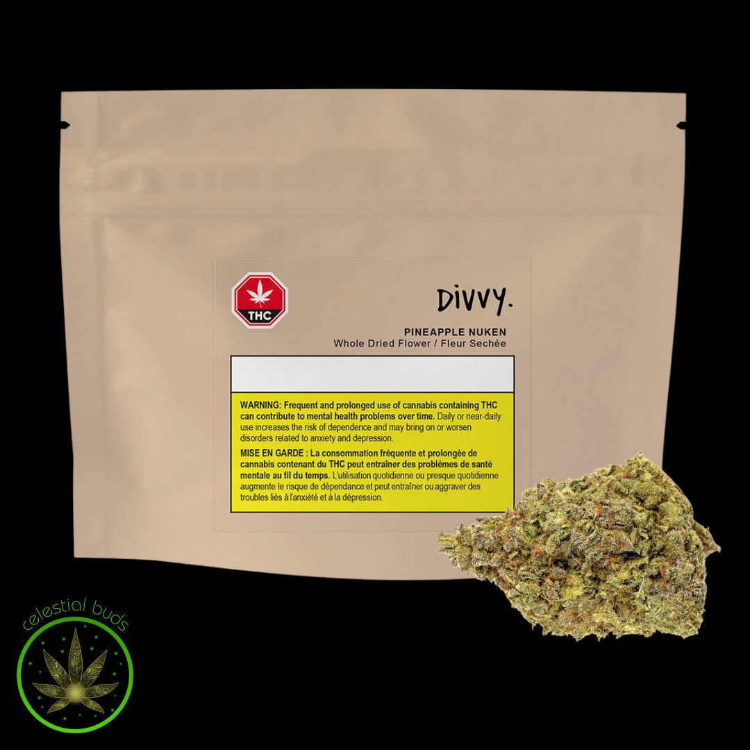 Pineapple Nuken, Divvy (28g) Dried Flower