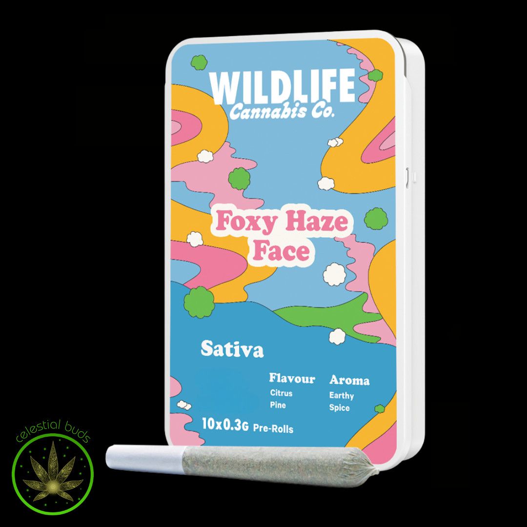 Foxy Haze Face, Wildlife (10x0.3g) Pre-Rolls