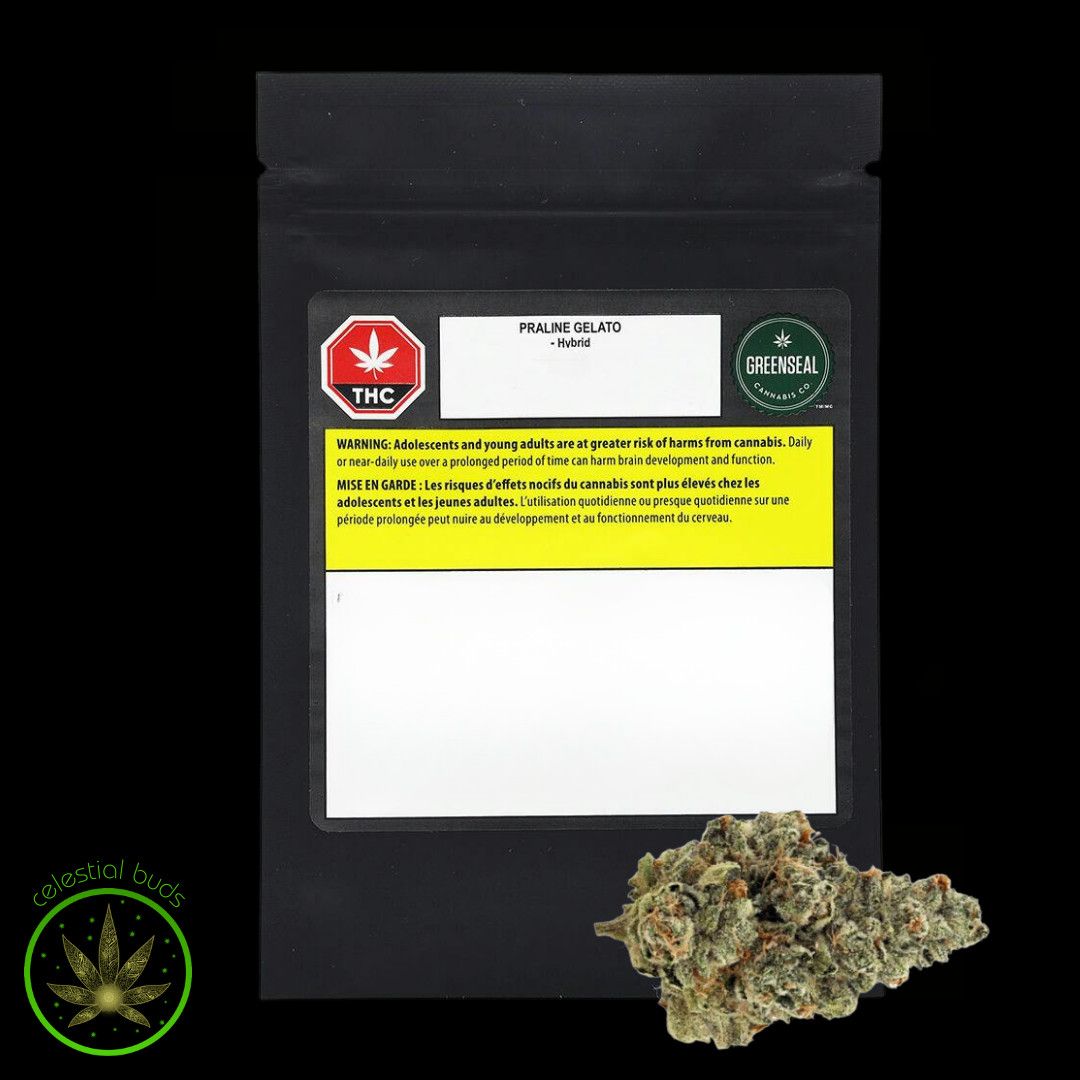 Praline Gelato, GreenSeal (7g) Dried Flower