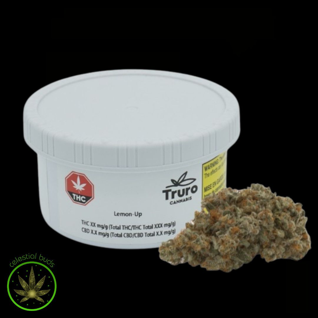 Lemon - Up, Truro (7g) Dried Flower