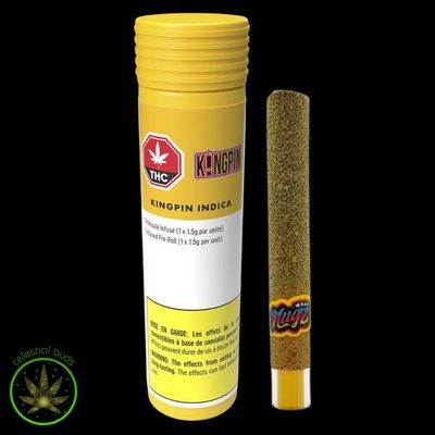 Kingpin Indica, Nugz (1x1g) Infused Pre-Roll