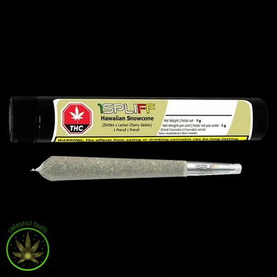 Hawaiian Snowcone, 1Spliff Reserve (1x1g) Glass Tip Pre-Roll