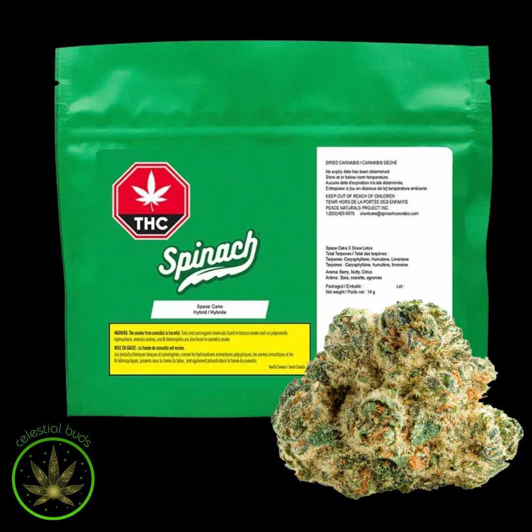 Space Cake, Spinach (14g) Dried Flower