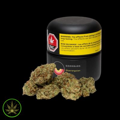 Gluerangutan, Good Buds (7g) Dried Flower