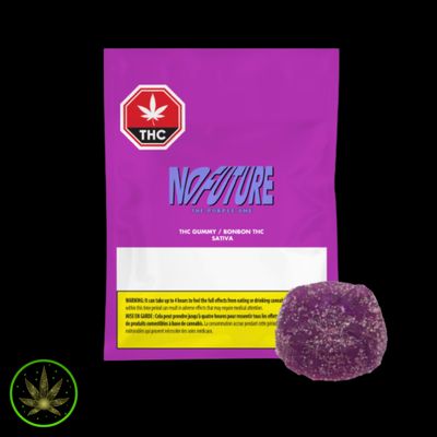Purple Sativa THC, No Future (1/pk) Soft Chew