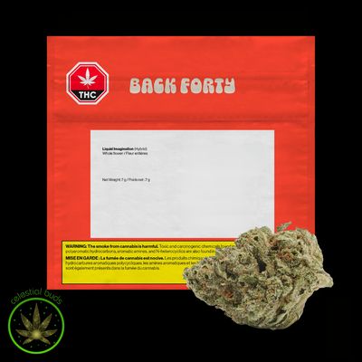 Liquid Imagination, Back Forty (7g) Dried Flower