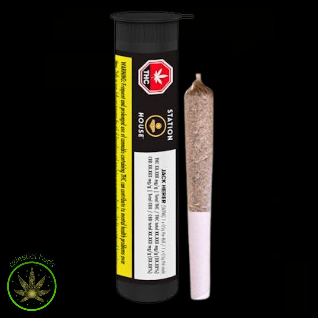 Jack Herer, Station House (1x0.5g) Pre-Roll
