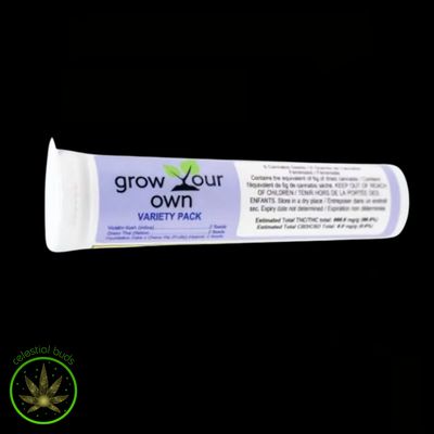 Violator Kush Green Thai &amp; Foundation Cake x Cherry Pie  (Feminized), HomeGrow with Freedom (3x2pack) Seeds