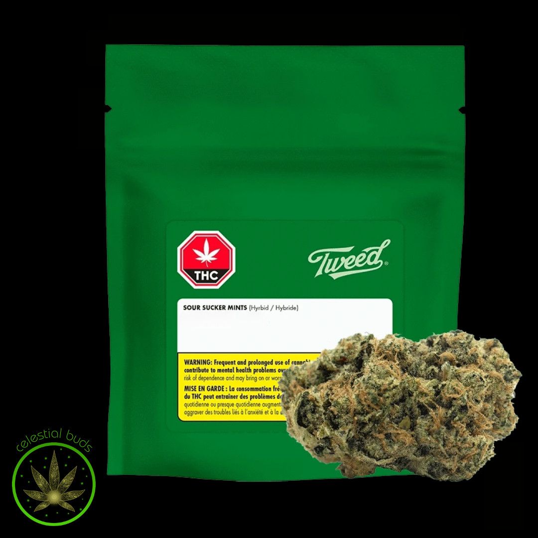 Sour Sucker Mints, Tweed (28g) Dried Flower