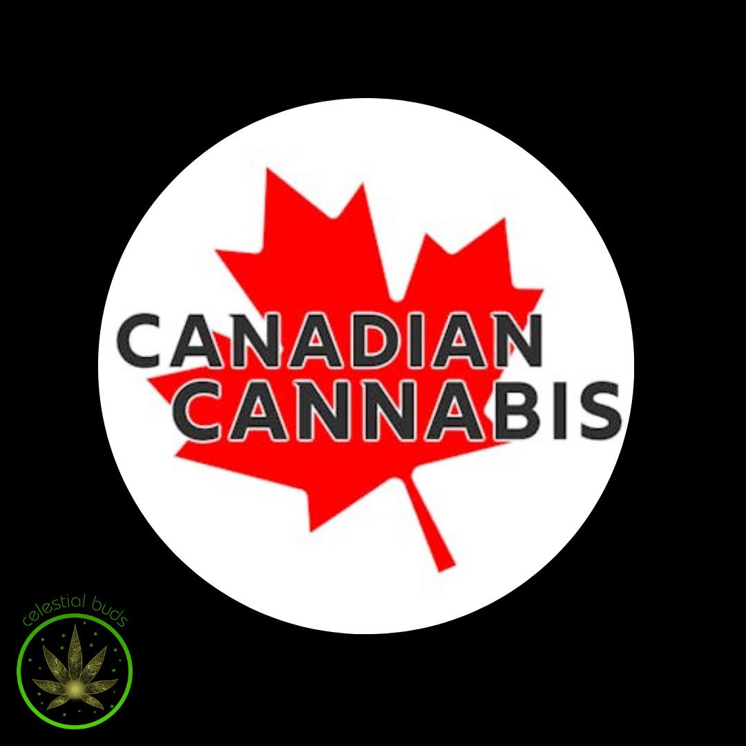 Indica Eh!, Canadian Cannabis (2x1g) Pre-Rolls