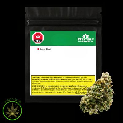 Cherry Diesel, Western Cannabis (12x0.5g) Pre-Rolls