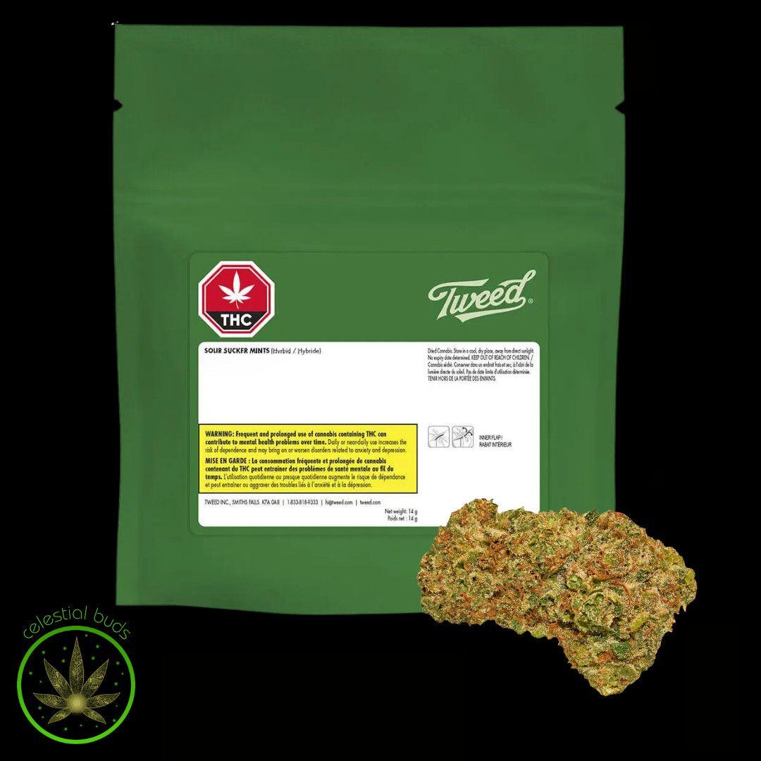 Sour Sucker Mints, Tweed (7g) Dried Flower