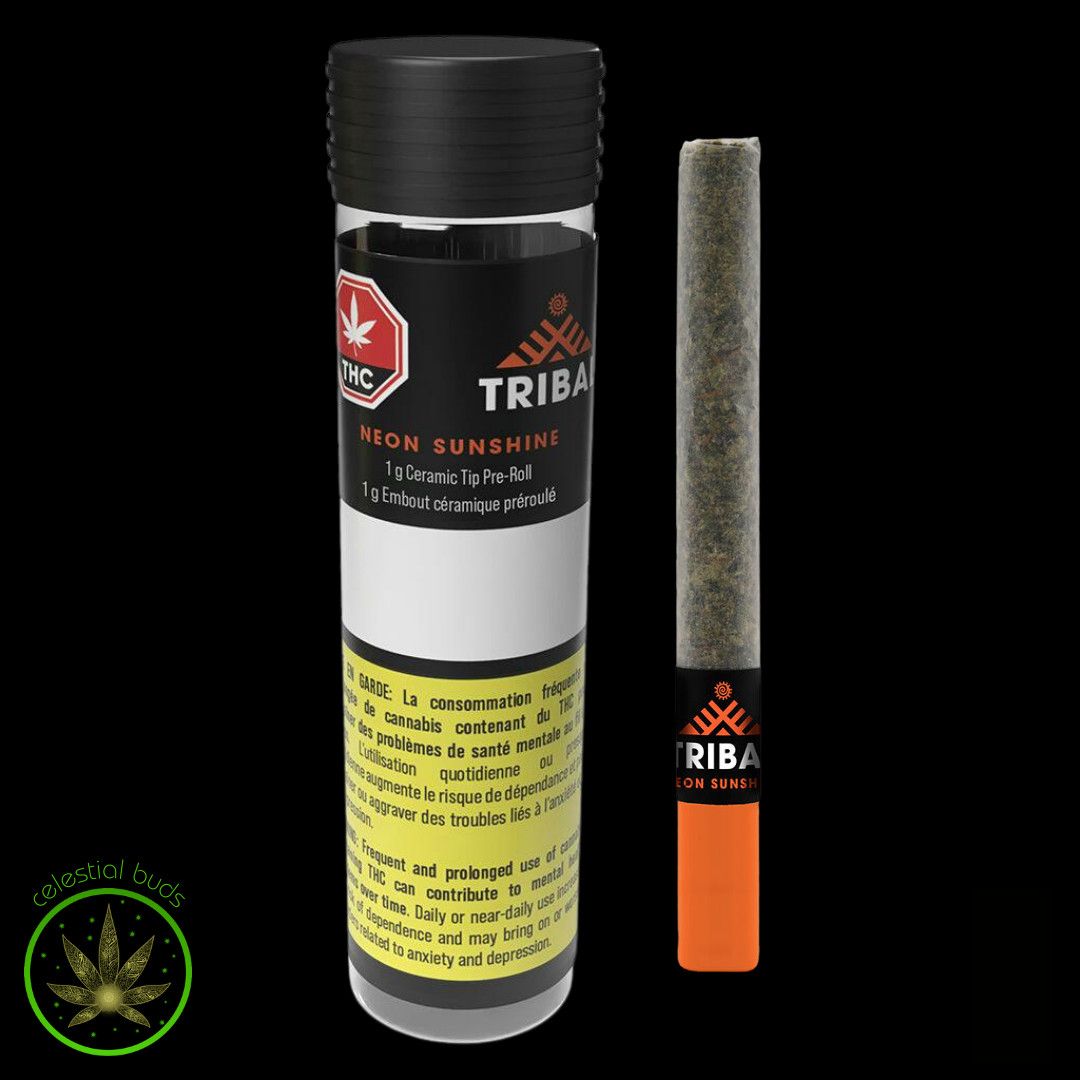 Neon Sunshine Ceramic Tip, Tribal (1x1g) Pre-Roll