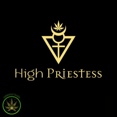 Taurus Vanilla Sweet Cream, High Priestess (1.2g) Live Whipped Diamonds