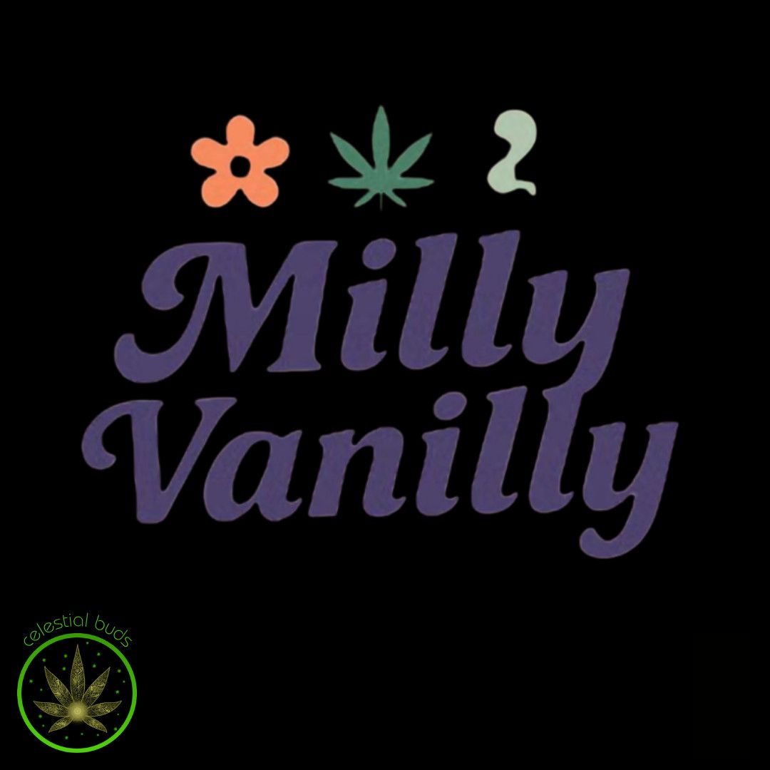 Soft Serve Sativa, Milly Vanilly (10x0.5g) Pre-Rolls