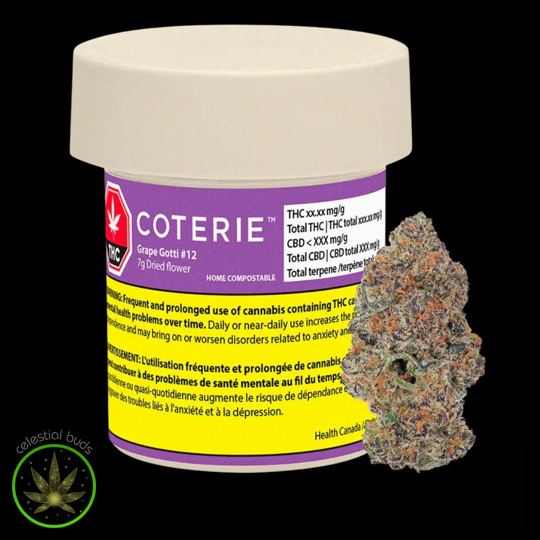 Grape Gotti #12, Coterie (7g) Dried Flower