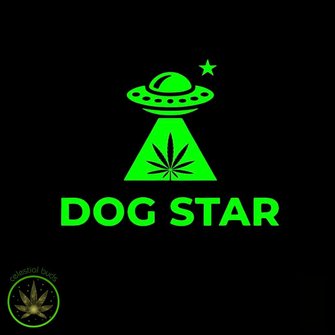 Do-Si-Dos, Dog Star (7x0.5g) Pre-Rolls