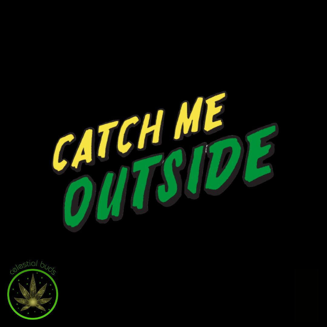 Rooster Call, Catch Me Outside (20x0.5g) Pre-Rolls