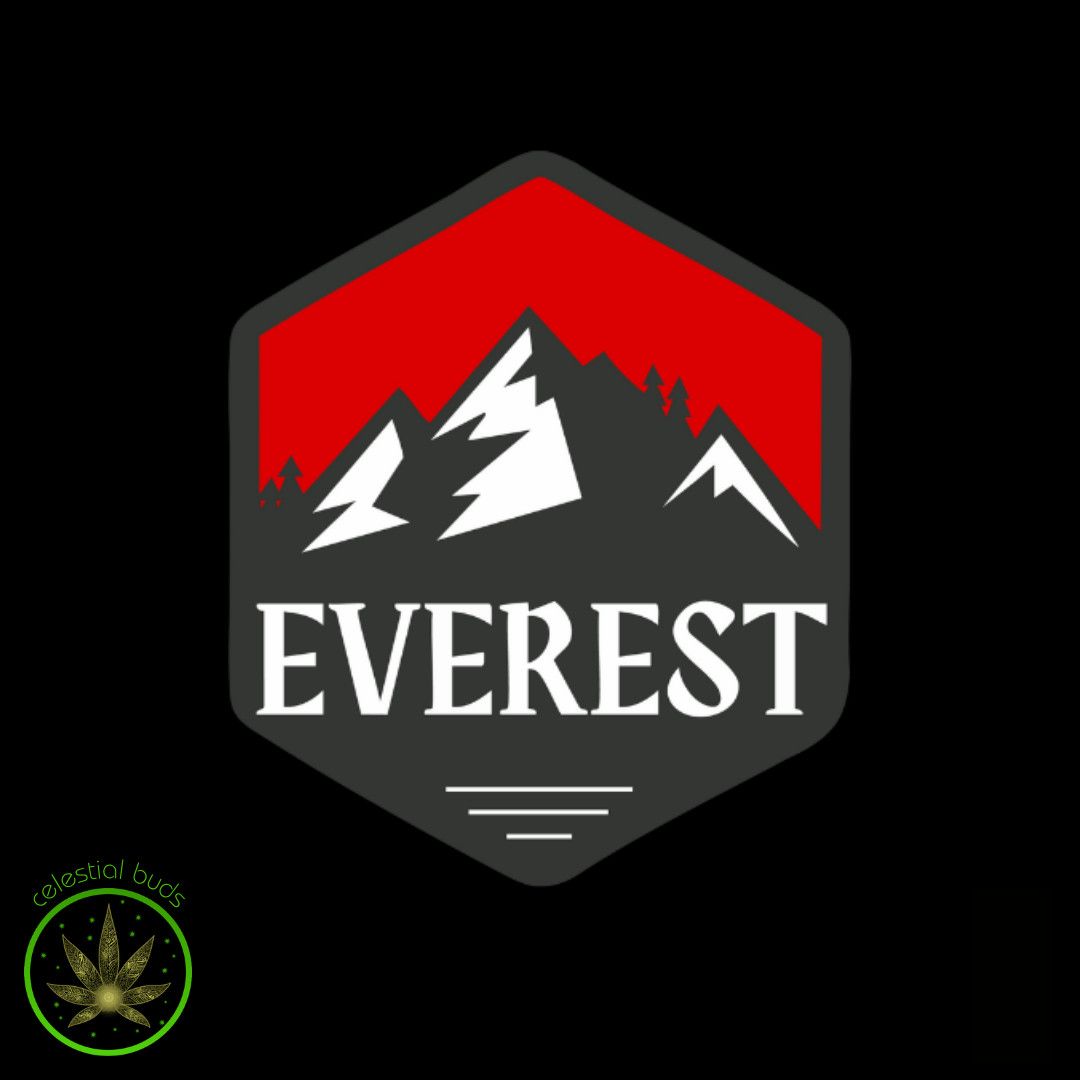 Grape Gas, Everest (10x0.5g) Pre-Rolls