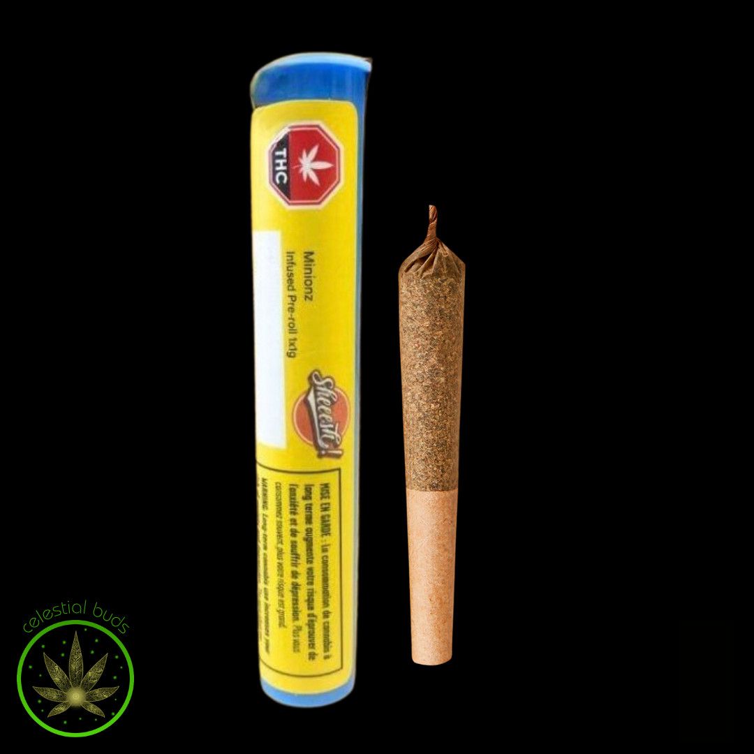 Minionz, Sheeesh! (1x1g) Distillate Infused Pre-Rolls