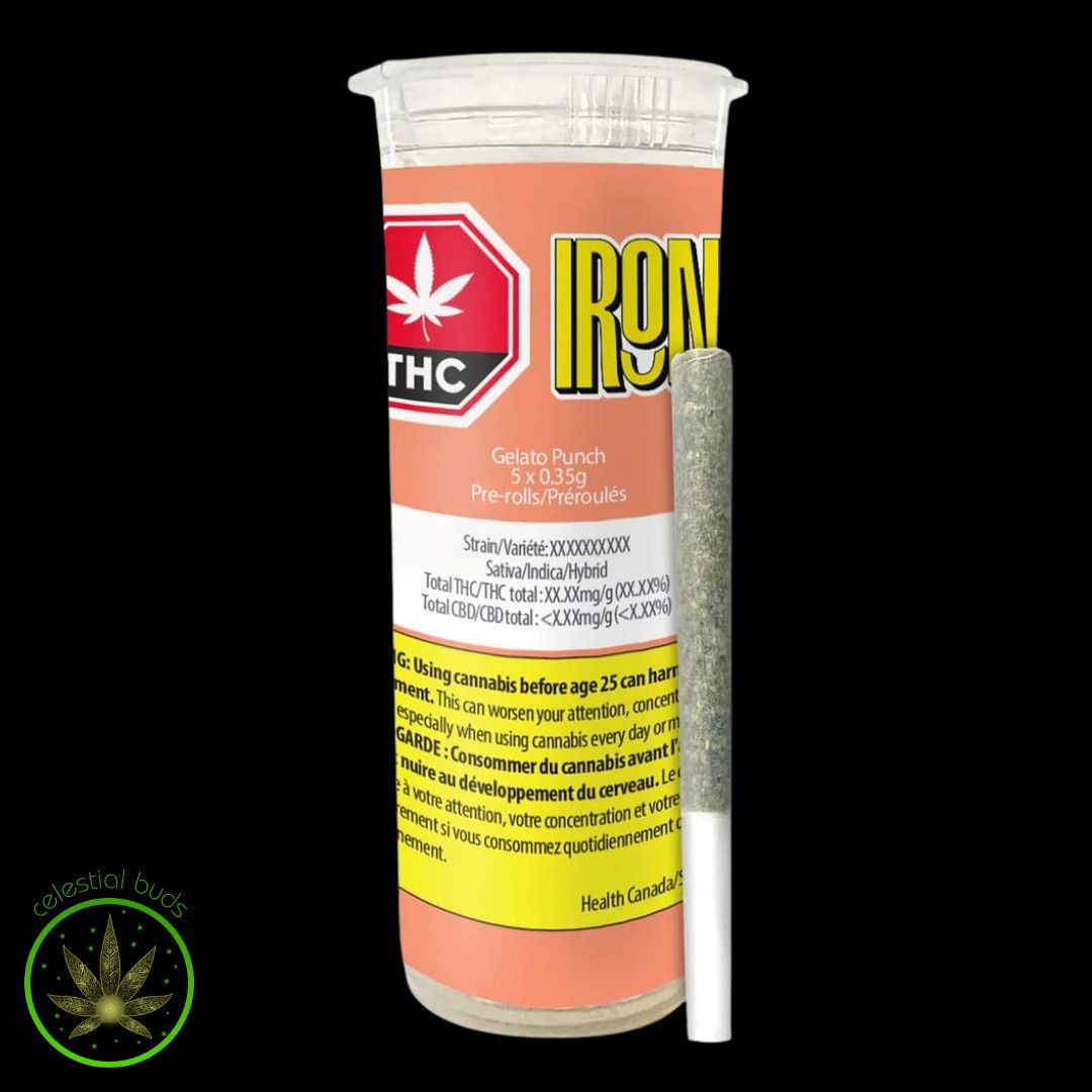 Gelato Punch, Irony (5x0.35g) Pre-Rolls
