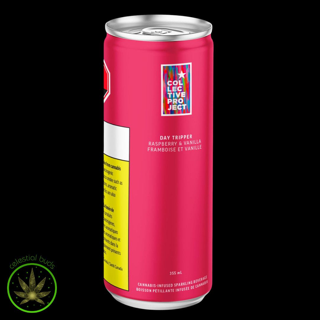 Raspberry Vanilla, COLLECTIVE PROJECT (355ml) Sparkling Beverage,