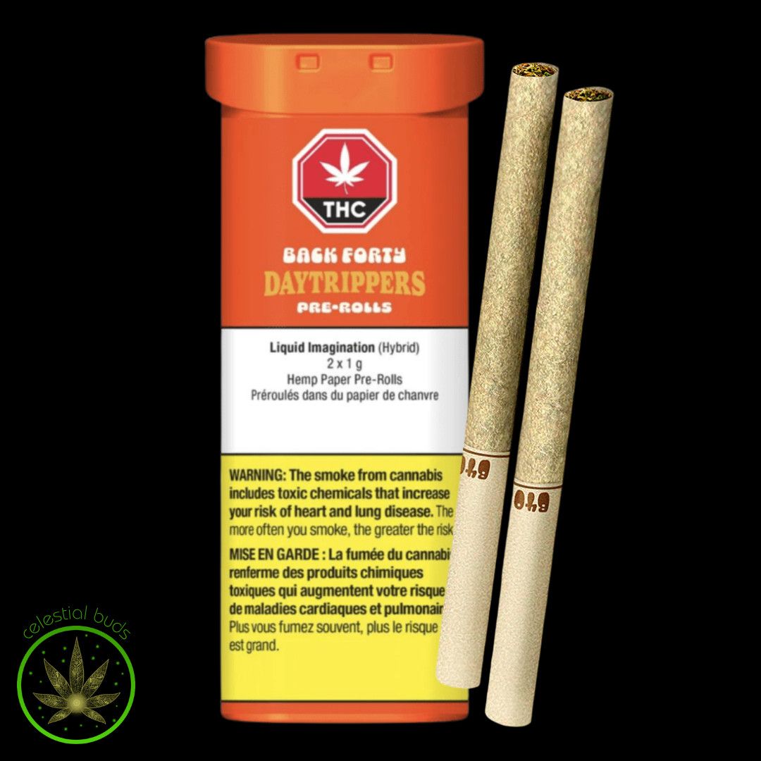 Daytrippers Liquid Imagination, Back Forty (2x1g) Pre-Rolls