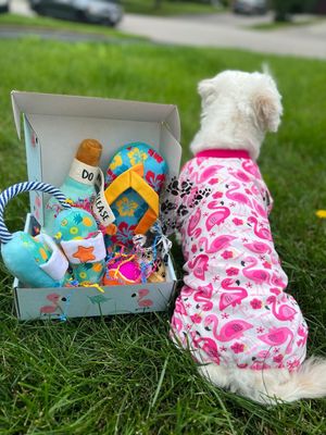 Petite Paw Wuff Box