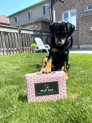 Mega Paw Wuff Box