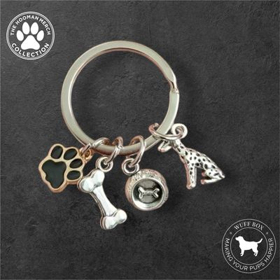 Stainless Steel Charmed Keychain