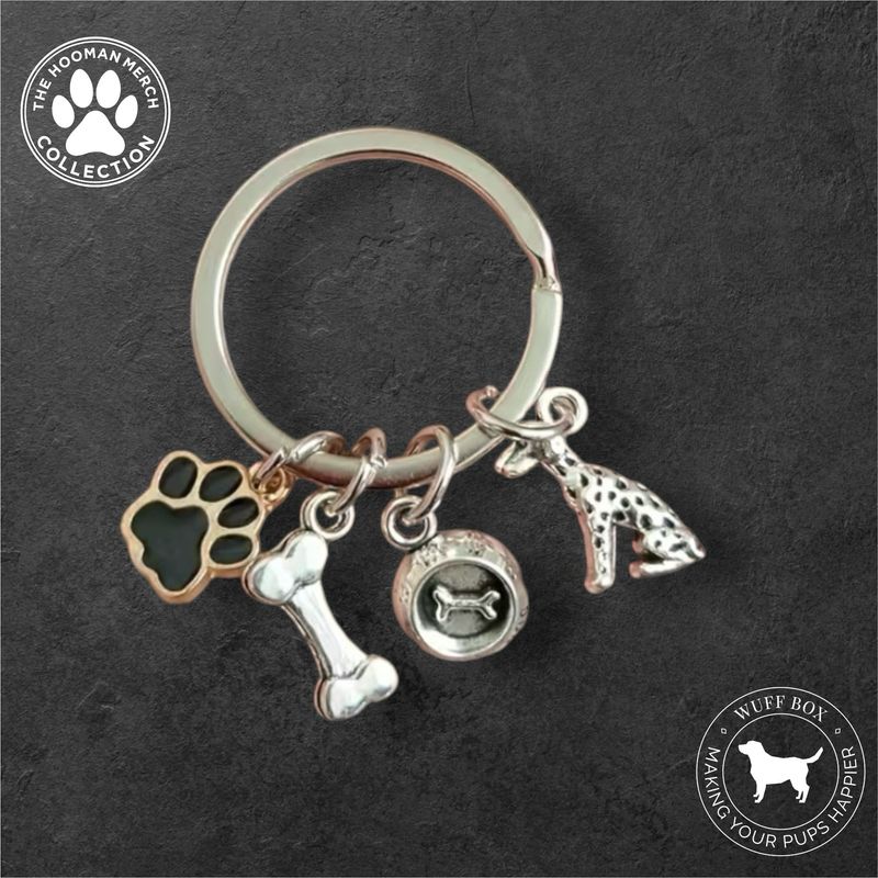 Stainless Steel Charmed Keychain