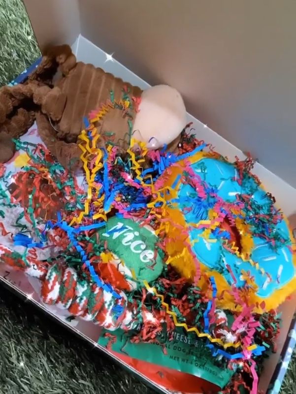 Pawliday|BarkDay Combination Wuff Box