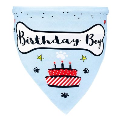 Birthday Boy Bandana